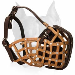 Designer leather muzzle for Attack/Agitation Training For Amstaff