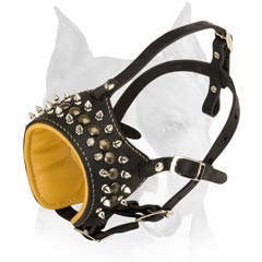 best dog muzzle