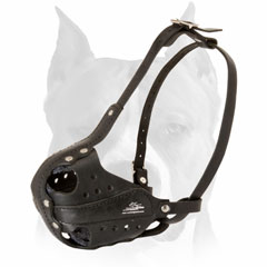 Amstaff dog muzzle leather for military work