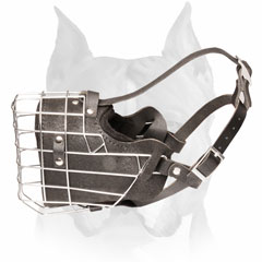 Padded leather Amstaff dog muzzle metal caged