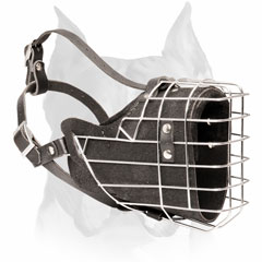 Leather basket Amstaff dog muzzle