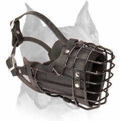 Padded leather Amstaff dog muzzle metal caged