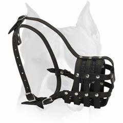 best dog muzzle for biting
