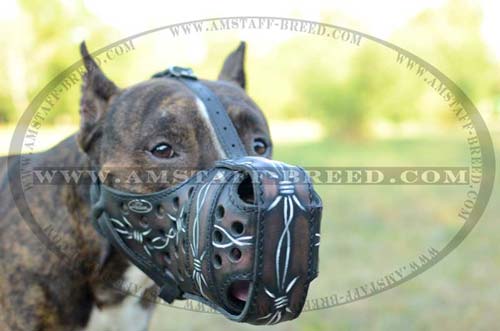 Durable Decorative Leather Muzzle