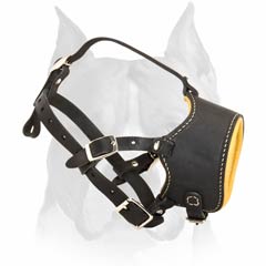 Comfy Buckled Leather Muzzle for American Staffordshire