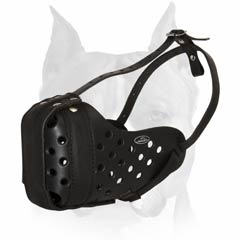 Buckled Attack / Agitation Leather Amstaff Muzzle