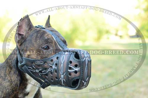 Walking American Stafforshire Handpainted Muzzle