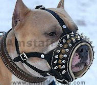 Royal Spiked Leather Dog Muzzle Royal Spiked Leather Dog Muzzle