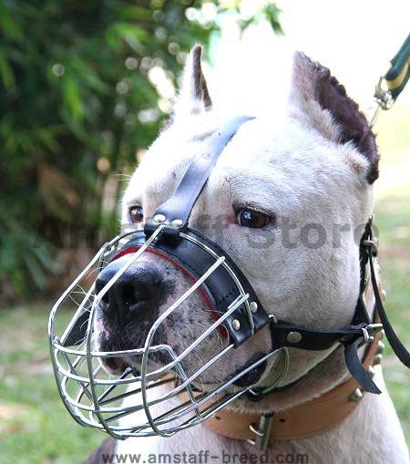 wire basket muzzle