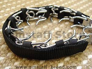 pinch collar nylon protector